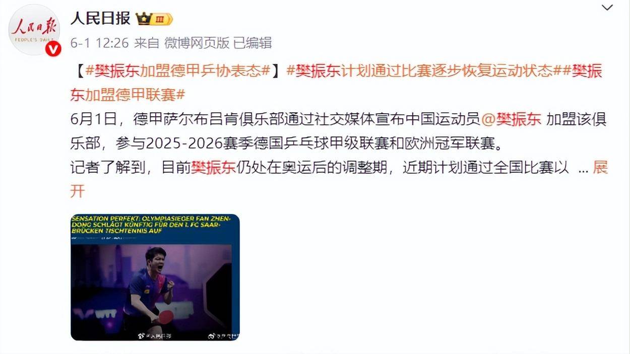 振东加盟德甲17个字表明态度字字珠玑！人民日报“锐评”樊(图22)
