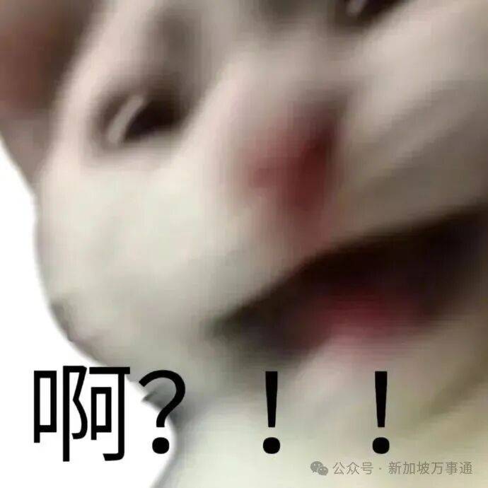 狠手！2026入境不做这件事或面临重罚+遣返23万人被查、罚款超3800万 新加坡又下(图20)